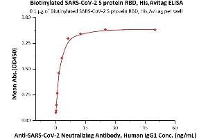Image no. 1 for SARS-CoV-2 Spike S1 (RBD) protein (His tag,AVI tag,Biotin) (ABIN6952456)