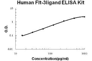 Image no. 1 for Fms-Related tyrosine Kinase 3 Ligand (FLT3LG) ELISA Kit (ABIN1889291)