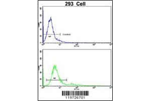 Image no. 3 for anti-Brain and Acute Leukemia, Cytoplasmic (BAALC) antibody (ABIN2157857)
