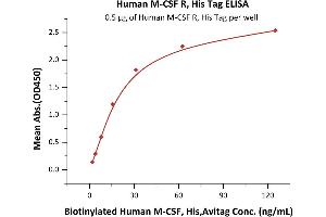 Immobilized Human M-CSF R, His Tag (ABIN2180910,ABIN2180909) at 5 μg/mL (100 μL/well) can bind Biotinylated Human M-CSF, His,Avitag (ABIN6386447,ABIN6388276) with a linear range of 2-31 ng/mL (QC tested).
