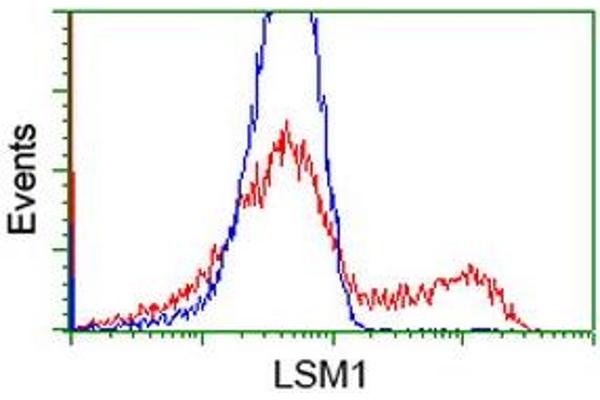 LSM1 anticorps