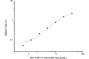 Image no. 1 for Calpain 1 (CAPN1) ELISA Kit (ABIN6963317)
