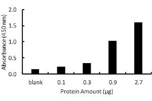 Image no. 2 for Peroxisome Proliferator-Activated Receptor gamma (PPARG) ELISA Kit (ABIN5690762)