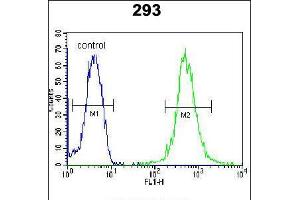 Image no. 3 for anti-WD Repeat Domain 48 (WDR48) (AA 603-630), (C-Term) antibody (ABIN5538309)