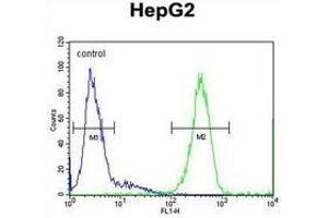 Image no. 1 for anti-Spermatogenesis and Oogenesis Specific Basic Helix-Loop-Helix 1 (SOHLH1) (AA 43-72), (N-Term) antibody (ABIN954880)