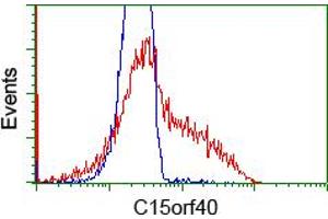 HEK293T cells transfected with either RC205773 overexpress plasmid (Red) or empty vector control plasmid (Blue) were immunostained by anti-C15orf40 antibody (ABIN2452852), and then analyzed by flow cytometry.