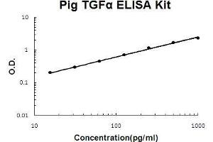 Image no. 1 for Transforming Growth Factor, alpha (TGFA) ELISA Kit (ABIN5510562)