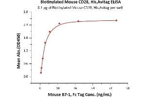 Image no. 3 for CD28 (CD28) (AA 20-149) (Active) protein (His tag,AVI tag,Biotin) (ABIN6972980)