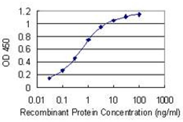 anti-Poly(rC) Binding Protein 1 (PCBP1) (AA 181-280) antibody