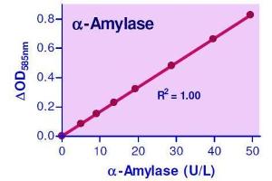 Biochemical Assay (BCA) image for alpha-Amylase Assay Kit (ABIN1000295)