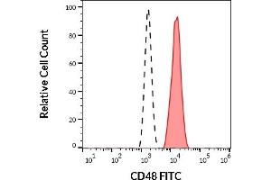 Image no. 1 for anti-CD48 (CD48) antibody (FITC) (ABIN94159)