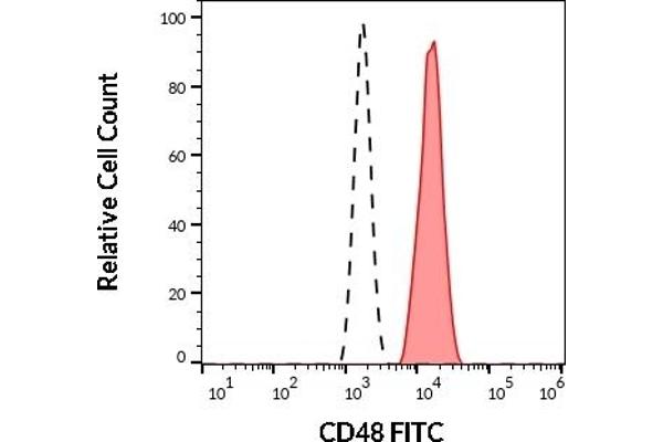 CD48 anticorps  (FITC)