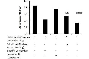 Image no. 2 for Nuclear Factor (erythroid-Derived 2)-Like 2 (NFE2L2) ELISA Kit (ABIN5526731)