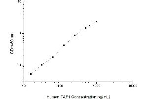 Image no. 1 for TAF1 RNA Polymerase II, TATA Box Binding Protein (TBP)-Associated Factor (TAF1) ELISA Kit (ABIN1117339)