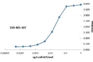 ELISA of Rabbit anti-Host Cell Protein antibody.