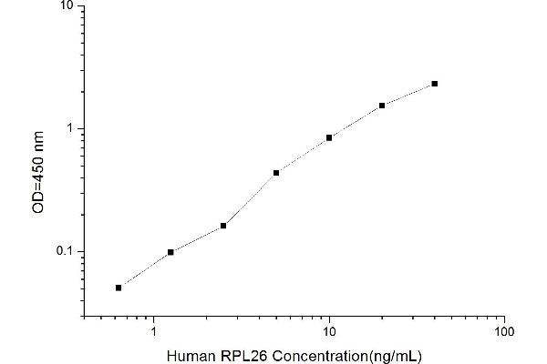 Ribosomal Protein L26 (RPL26) ELISA Kit
