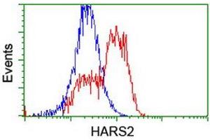 Image no. 15 for anti-Histidyl-tRNA Synthetase 2, Mitochondrial (Putative) (HARS2) antibody (ABIN1498584)