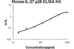 Mouse IL-27 p28 Accusignal ELISA Kit Mouse IL-27 p28 AccuSignal ELISA Kit standard curve.