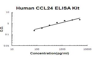 Image no. 1 for Chemokine (C-C Motif) Ligand 24 (CCL24) ELISA Kit (ABIN6720293)