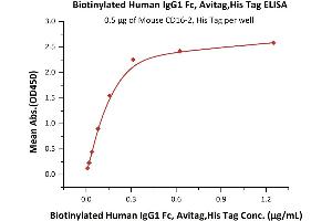 ELISA image for HEK-293 Cells IgG isotype control (AVI tag,Biotin,His tag) (ABIN2870554)
