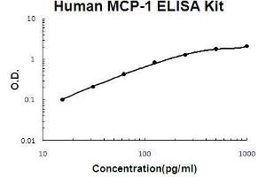 Image no. 1 for Chemokine (C-C Motif) Ligand 2 (CCL2) ELISA Kit (ABIN411320)