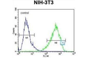 Image no. 1 for anti-Homeobox and Leucine Zipper Encoding (HOMEZ) (AA 137-166), (N-Term) antibody (ABIN952771)