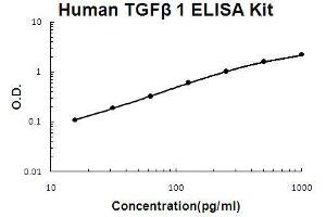 Image no. 1 for Transforming Growth Factor, beta 1 (TGFB1) ELISA Kit (ABIN411353)
