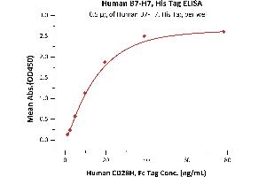 HHLA2 Protein (HERV-H LTR-Associating 2) (AA 23-344) (His tag)