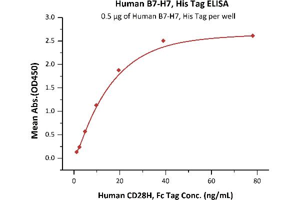 HHLA2 Protein (HERV-H LTR-Associating 2) (AA 23-344) (His tag)