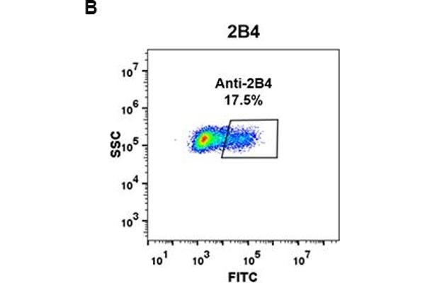 Recombinant 2B4 antibody  (AA 22-221)