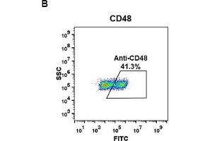 Image no. 3 for anti-CD48 (CD48) (AA 27-220) antibody (ABIN6964043)