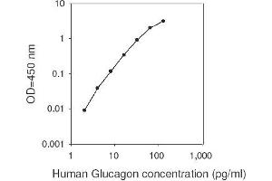 Image no. 1 for Glucagon (GCG) ELISA Kit (ABIN2703058)