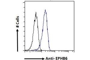 Image no. 3 for anti-EPH Receptor B6 (EPHB6) (Internal Region) antibody (ABIN7013872)