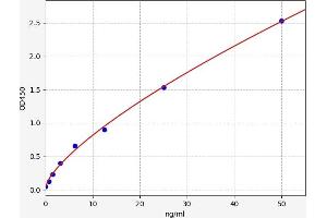LPAR3 ELISA Kit