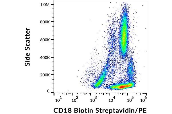 Integrin beta 2 antibody  (Biotin)