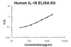 Interleukin 16 (IL16) ELISA Kit