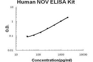 Image no. 1 for Nephroblastoma Overexpressed (NOV) ELISA Kit (ABIN1889323)