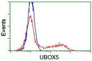 Image no. 2 for anti-U-Box Domain Containing 5 (UBOX5) (AA 1-130), (AA 419-487) antibody (ABIN1490572)