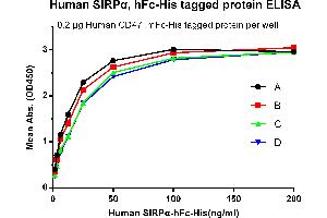 Image no. 4 for Signal-Regulatory Protein alpha (SIRPA) protein (Fc-His Tag) (ABIN6961082)