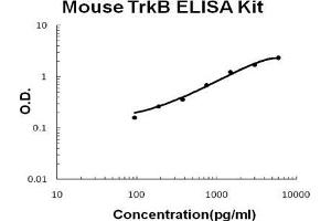 Image no. 1 for Neurotrophic Tyrosine Kinase, Receptor, Type 2 (NTRK2) ELISA Kit (ABIN921110)