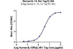 Image no. 4 for Interleukin 13 (IL13) protein (His-Avi Tag) (ABIN7274900)