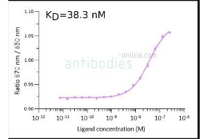 Image no. 1 for anti-SARS-CoV-2 Spike S1 (RBD) antibody (ABIN6952546)