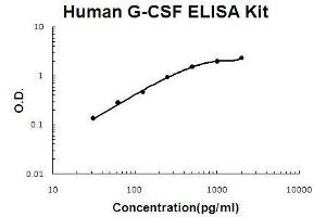 Human G-CSF PicoKine ELISA Kit standard curve