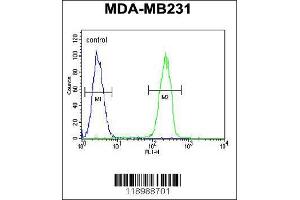 Image no. 3 for anti-Caspase 5, Apoptosis-Related Cysteine Peptidase (CASP5) (AA 162-191) antibody (ABIN654898)
