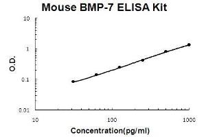 Image no. 1 for Bone Morphogenetic Protein 7 (BMP7) ELISA Kit (ABIN3071450)