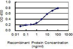 anti-Prickle-Like Protein 1 (PRICKLE1) (AA 684-756) antibody