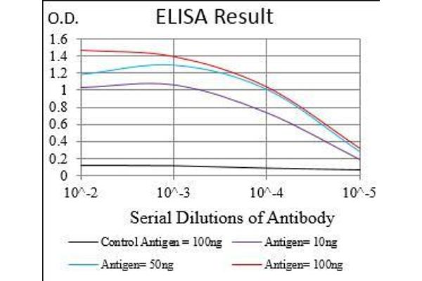 p130 antibody  (AA 939-1139)