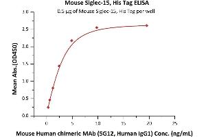 Image no. 1 for Sialic Acid Binding Ig-Like Lectin 15 (SIGLEC15) (AA 24-262) protein (His tag) (ABIN6809872)