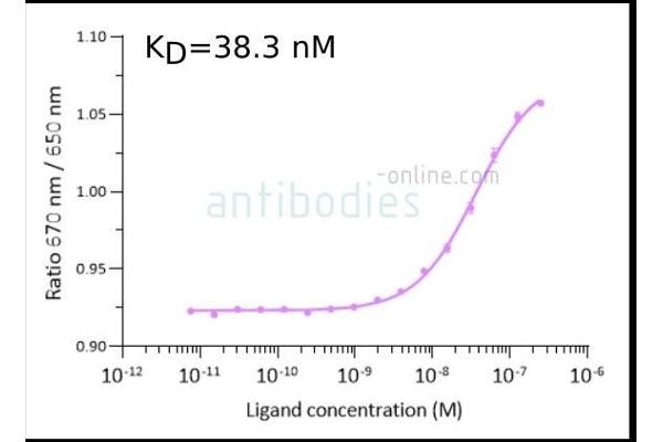 SARS-CoV-2 Spike Protein (B.1.1.529 - Omicron) (rho-1D4 tag)