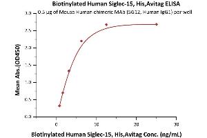 Image no. 1 for Sialic Acid Binding Ig-Like Lectin 15 (SIGLEC15) (AA 20-263) (Active) protein (His tag,AVI tag,Biotin) (ABIN6938941)